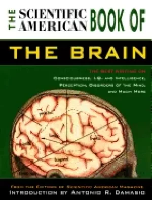 Image of scientific american book of the brain