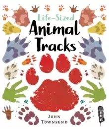 Image of Life-Sized Animal Tracks