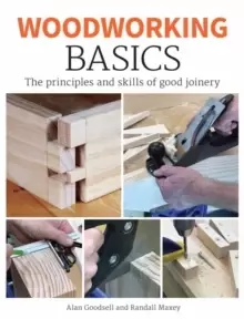 Image of Woodworking Basics : The Principles and Skills of Good Joinery