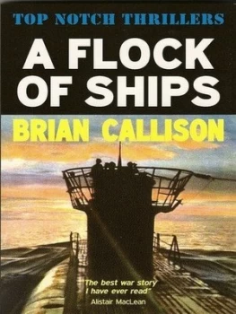 Image of Flock of Ships by Brian Callison Paperback