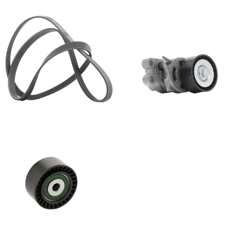 Image of RIDEX PLUS 542R0251P V-ribbed belt set V-Ribbed Belt Set (542)