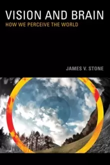 Image of Vision and Brain : How We Perceive the World