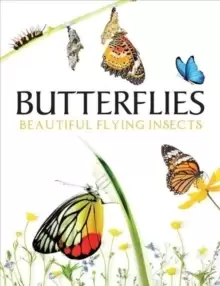Image of Butterflies : Beautiful Flying Insects