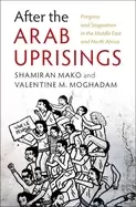 Image of after the arab uprisings