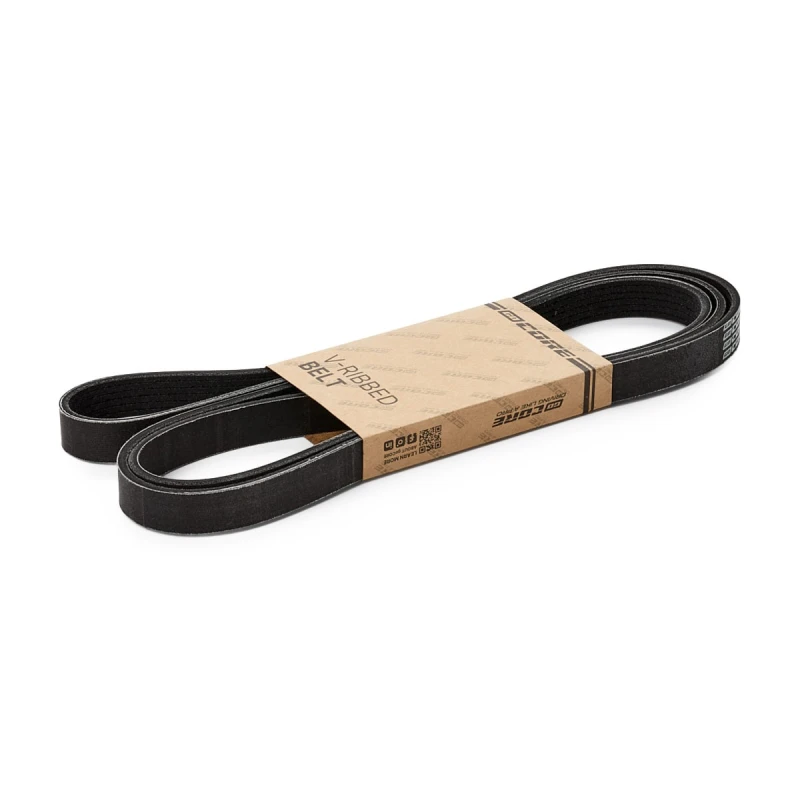 Image of goCORE GCC050273 V-ribbed belt V-Ribbed Belts (305)