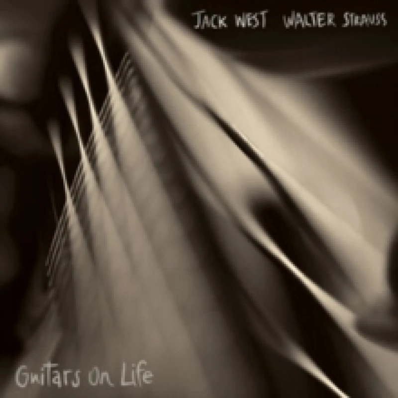 Image of Guitars on life Vinyl