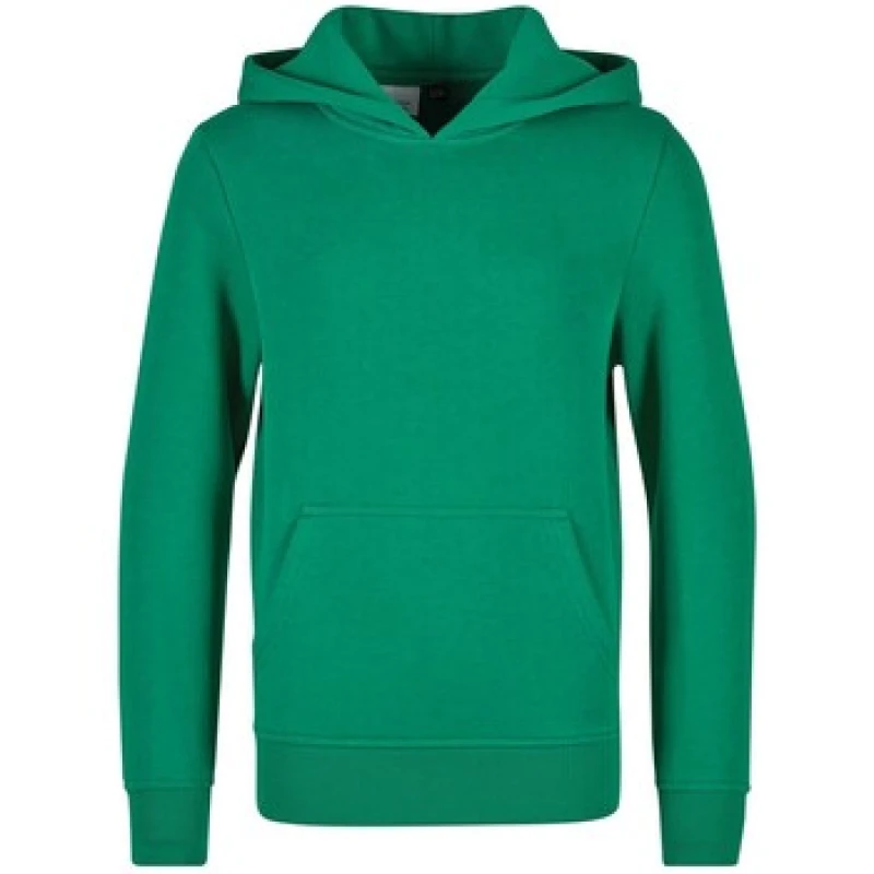 Image of Build Your Brand BY117 boys's Hoodies in Green