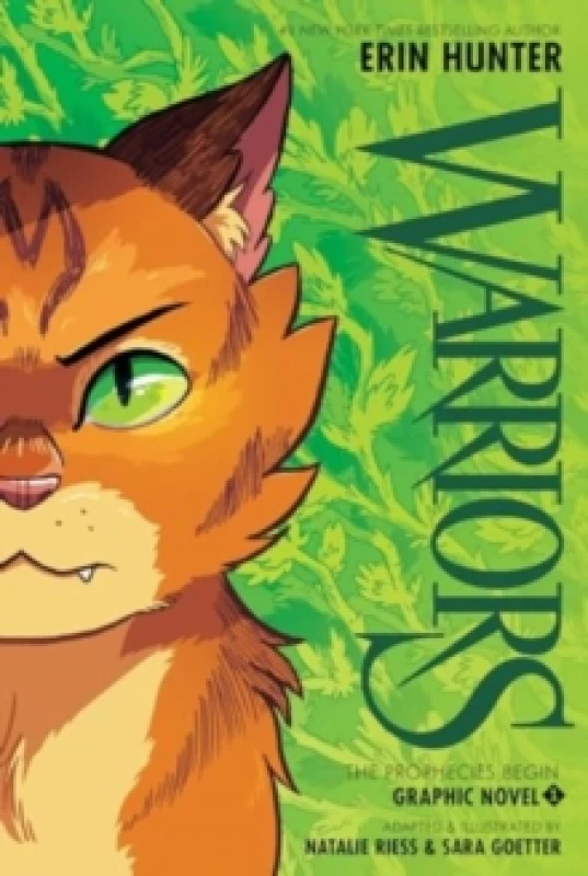 Image of Warriors Graphic Novel: The Prophecies Begin, Part One of Three Paperback / softback