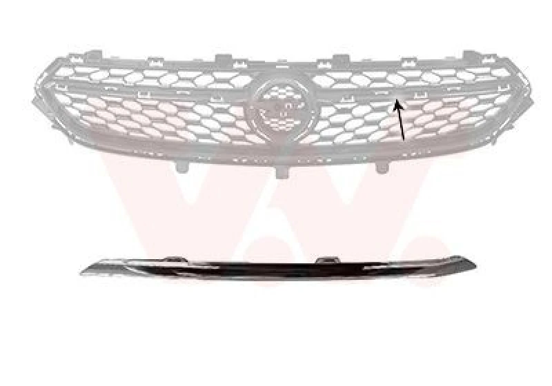 Image of VAN WEZEL Trim / Protective Strip, radiator grille VAN WEZEL 3805511