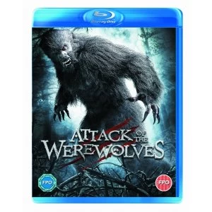 Image of Attack Of The Werewolves Bluray
