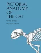 Image of pictorial anatomy of the cat