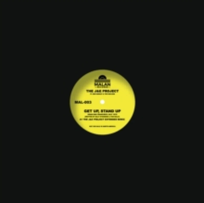 Image of Get Up, Stand Up Vinyl