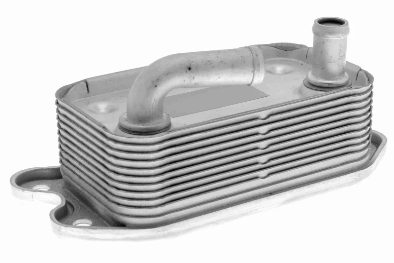 Image of Engine oil cooler VEMO V95-60-0006
