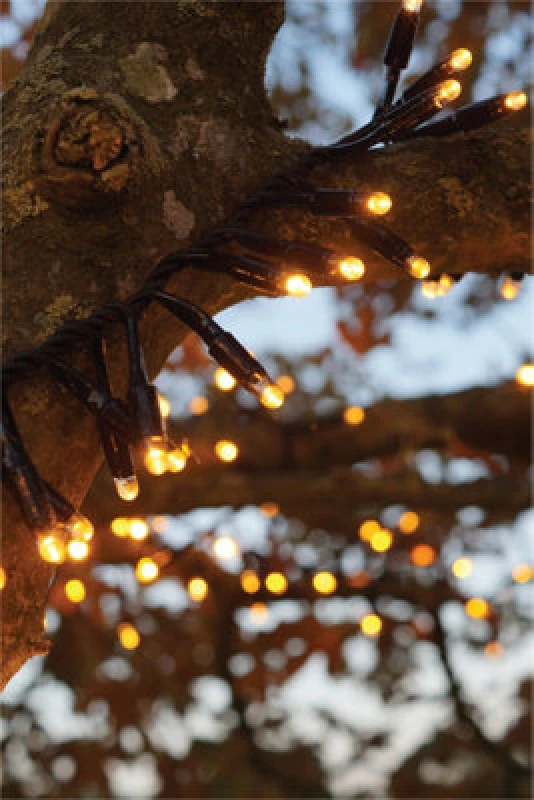 Image of Eagle Connect Cluster Lights Black Rubber Ip65 Copper Gold 10M