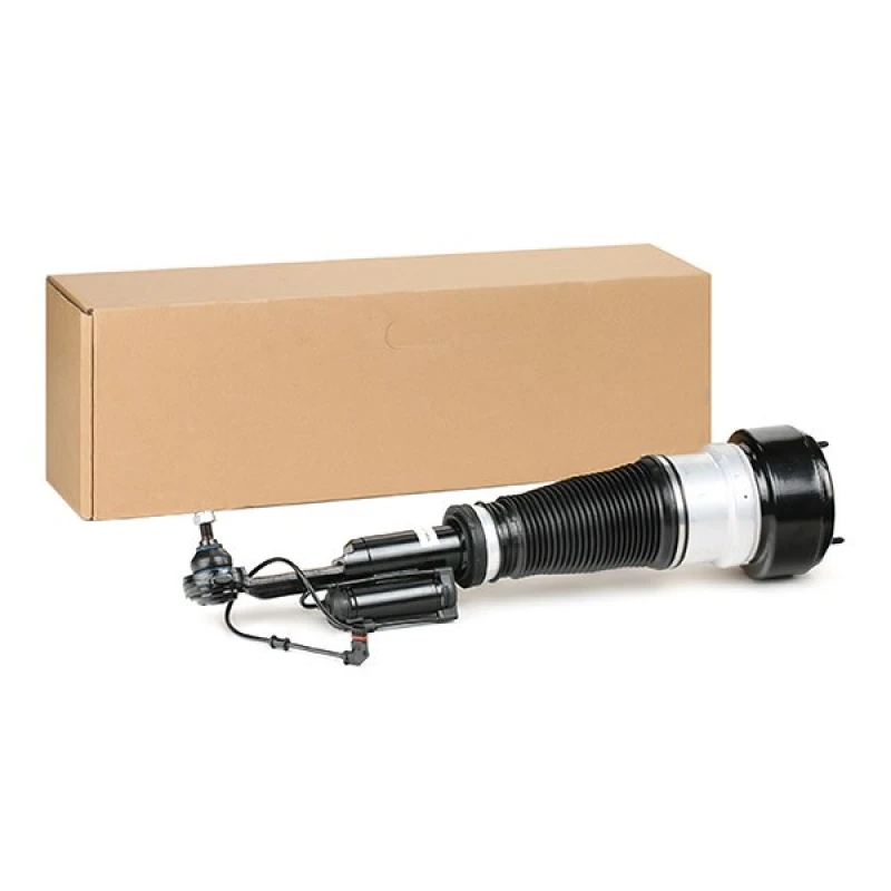 Image of RIDEX Air suspension strut RIDEX 4118A0048