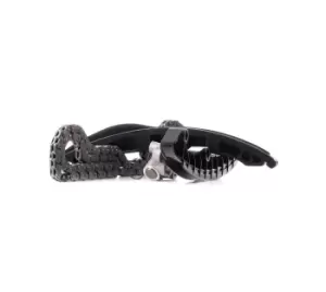Image of RIDEX Timing Chain Kit VW,AUDI,SKODA 1389T0006 03C109158,03C109158A,03C109158AS1 03C109158S1,03C109469K,03C109507AH,03C109507AHS1,03C109507BA