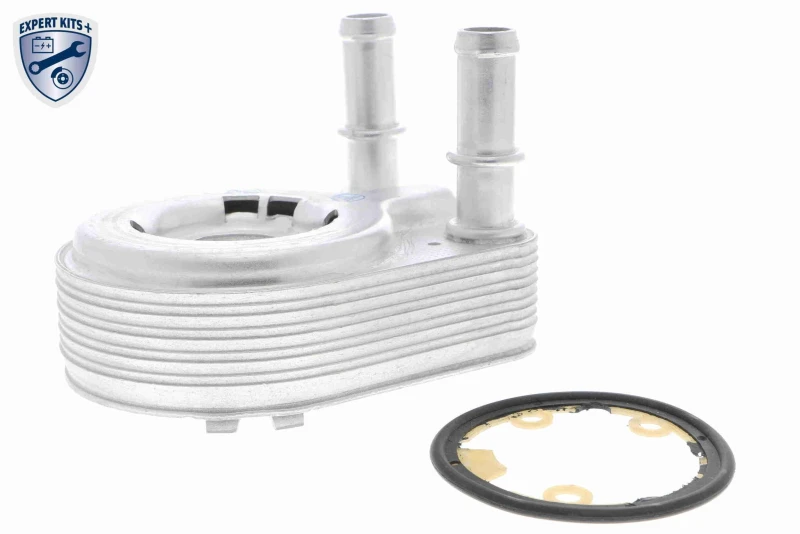 Image of VEMO V24-60-0021 Oil Cooler with gasket/seal, EXPERT KITS + Oil Cooler,engine oil (469)