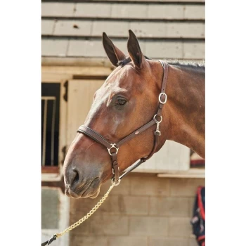 image of Headcollar Leather Ready To Ride Havana - Pony - Whitaker