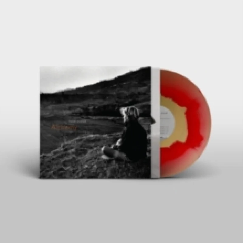 Image of Alchemy: An Index of Possibilities Vinyl