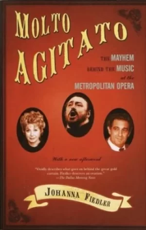 Image of Molto agitato by Johanna Fiedler