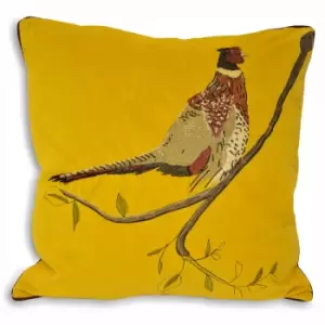 Image of Hunter Velvet Cushion Yellow/Brown