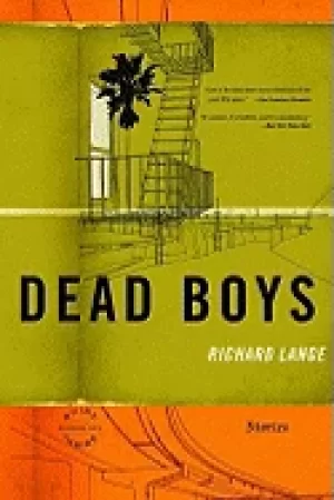 Image of dead boys stories