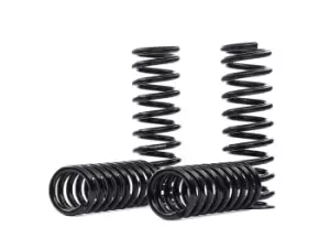 Image of EIBACH Suspension Kit, coil springs MERCEDES-BENZ E2502-140