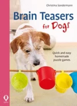 Image of brain teasers for dogs quick and easy homemade puzzle games