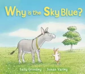Image of Why is the sky blue? by Sally Grindley