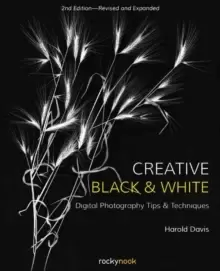 Image of Creative Black and White