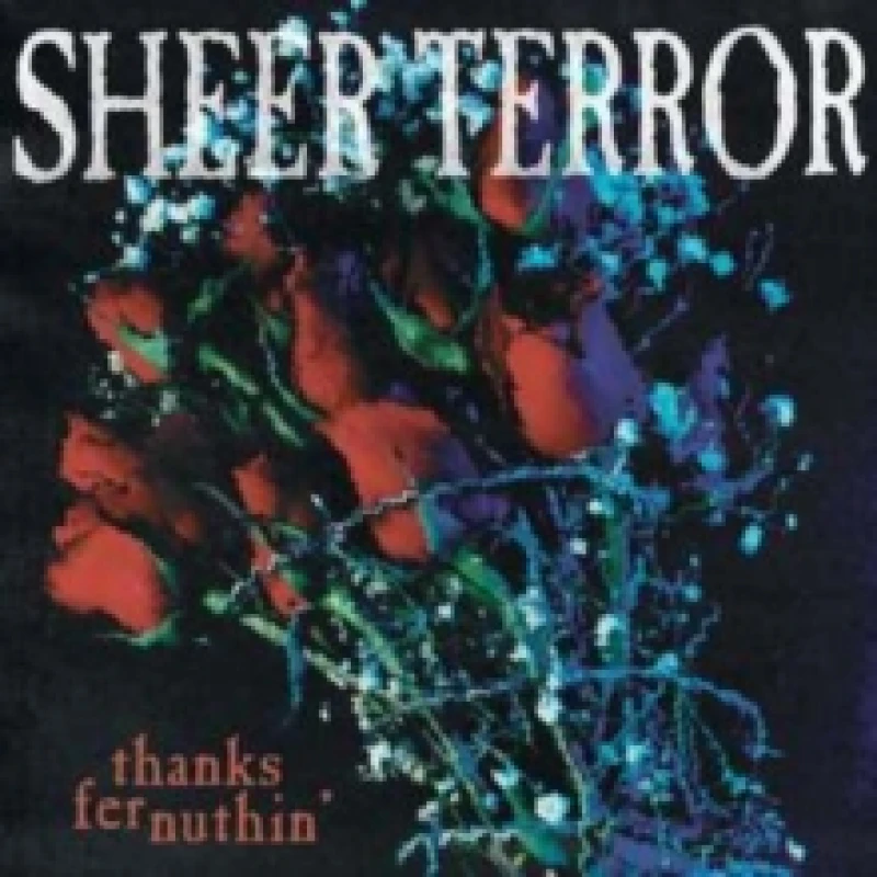 Image of Thanks fer nuthin' Vinyl