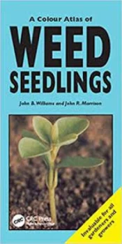 Image of A colour atlas of weed seedlings by John B Williams