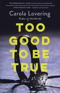 image of too good to be true a novel