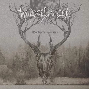 Image of Waldgefluster - Mondscheinsonaten CD