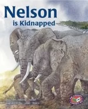 Image of PM Silver: Nelson is Kidnapped (PM Storybooks) Level 23