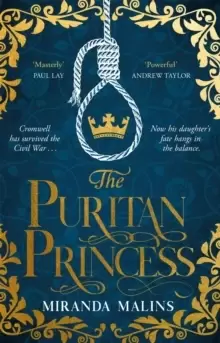 Image of The Puritan Princess : The stunning and unforgettable historical novel of family, politics and the price of love in the Civil War