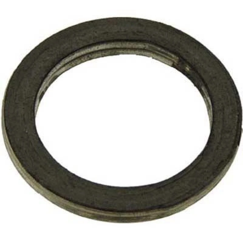 Image of Exhaust pipe gasket VEGAZ TD-113