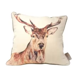 Image of Jane Bannon Montgomery Feather Filled Cushion (One Size) (Brown/Cream)