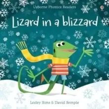 Image of Lizard in a Blizzard