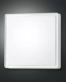 image of Oban LED Outdoor Flush White Glass, IP65