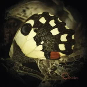 Image of Music for Wastelands by Ossicles Vinyl Album