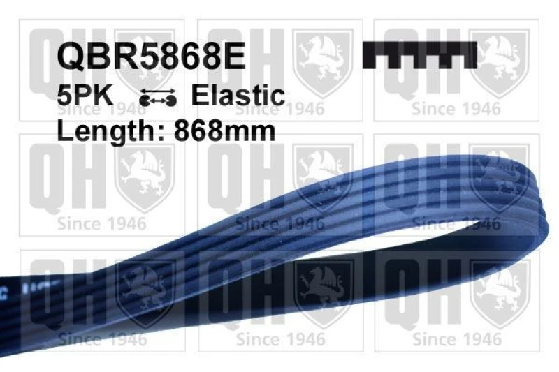 Image of QUINTON HAZELL Serpentine belt QUINTON HAZELL QBR5868E