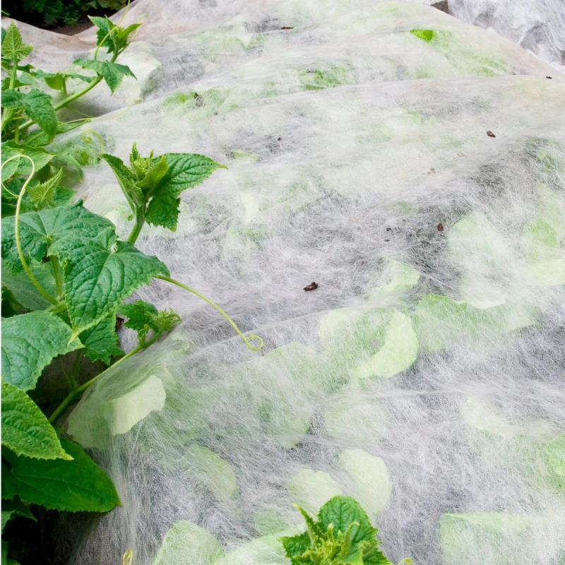 Image of You Garden Frost Protection Fleece - 1 Roll (15M X 1M) One Colour WVKQO Unisex