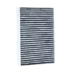 Image of RIDEX Pollen filter 424I0271 Filter, interior air,Cabin filter RENAULT,DACIA,CLIO II (BB0/1/2_, CB0/1/2_),KANGOO (KC0/1_),KANGOO Express (FC0/1_)