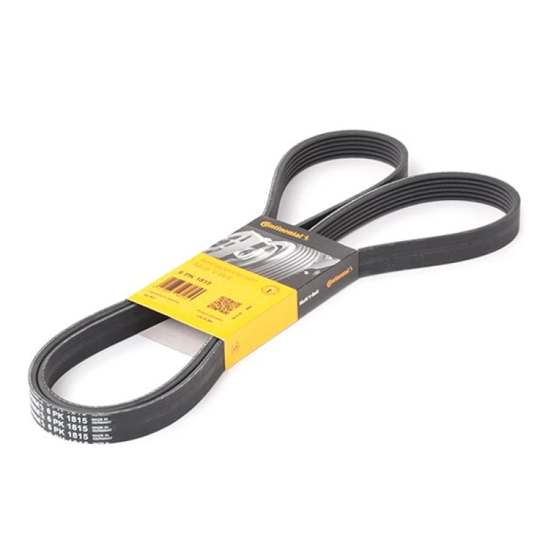 Image of CONTITECH 6PK1815 V-ribbed belt V-Ribbed Belts (305)