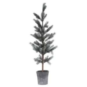 Image of Christmas Fir Tree In Stone Pot