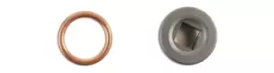 Image of HGV Sump Plug to suit Renault Pk 1 Connect 33152