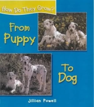 Image of From Puppy to Dog by Jillian Powell Hardback