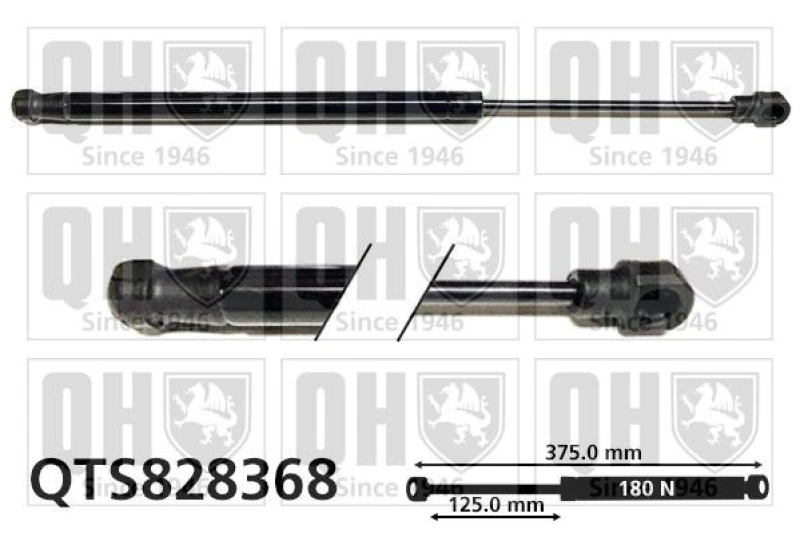 Image of QUINTON HAZELL Tailgate strut QUINTON HAZELL QTS828368