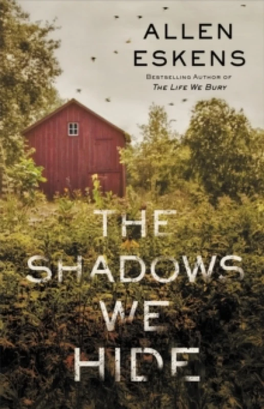 Image of The Shadows We Hide Paperback / softback